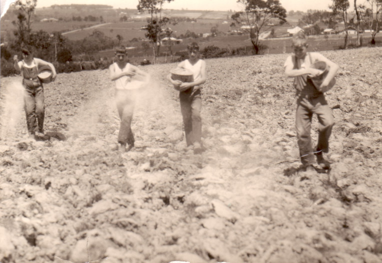 BHGS Students feeding crops at Gwynton Park - 1935