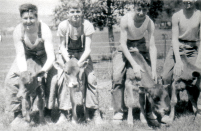 BHGS Students with calves at Gwynton Park - 1935